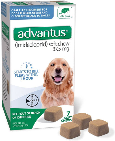 Advantus Soft Chew Flea Treatment for Dogs