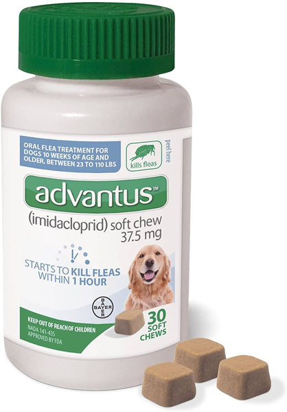 Advantus large dog soft chew flea treatment best sale