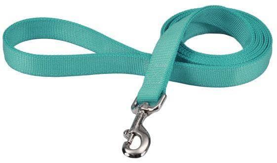 Image of Coastal Pet Double-ply Nylon Dog Lead Teal