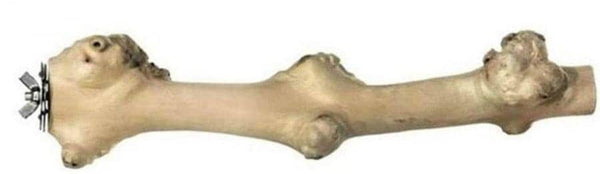 Image of Prevue Pet Naturals Coffee Wood Straight Branch Perch