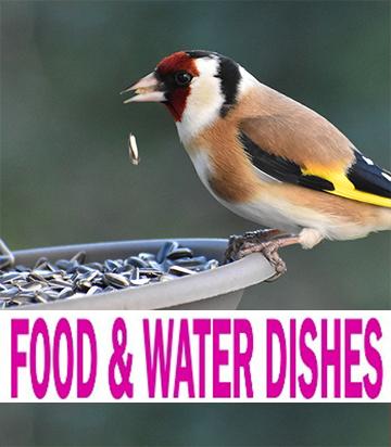Food & Water Dishes