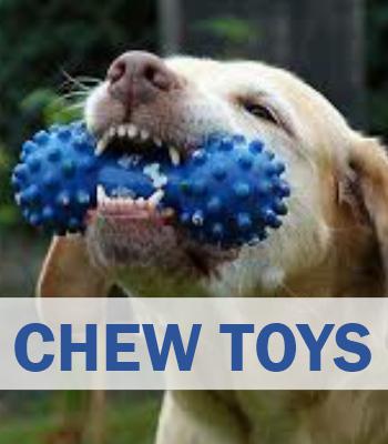 Chew Toys