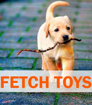 Ball, Rope & Fetch Toys
