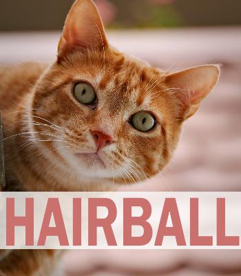 Hairball Control