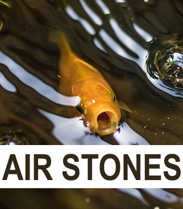 Air Stones & Diffusers