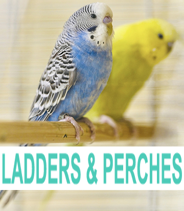 Ladders & Perches