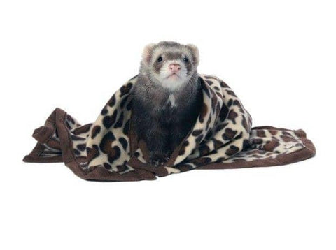 Image of Marshall Designer Fleece Blanket for Small Animals