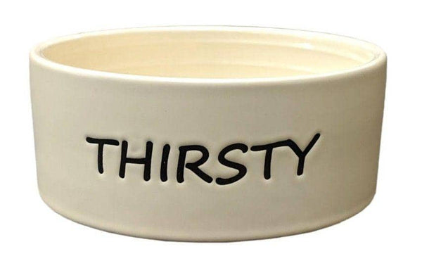 Image of Spot Thirsty Dog Dish Water Bowl