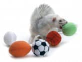 Marshall Pet Products Ferret Sport Balls Assorted 2 In, 2 Pk