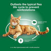 Advantage XD Long-Lasting Flea Prevention & Treatment for Small Cats (1.8-9 lbs), 1 Dose (2-Month Coverage)