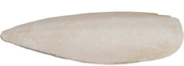 Image of Prevue Cuttlebone Birdie Basics Small 4" Long
