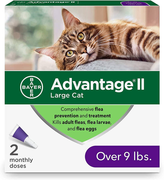 Advantage II Flea and Lice Treatment Cats Over 9 LB LARGE CAT