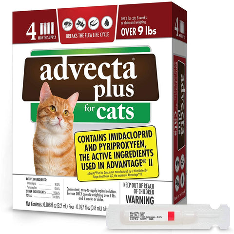Advecta for Cats