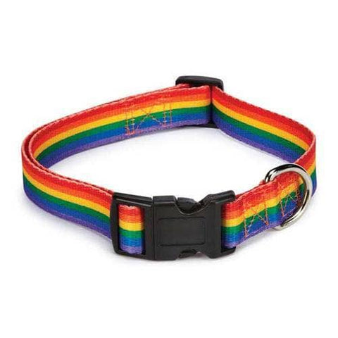 Rainbow Pride Dog Collar-DOG-Casual Canine-10-16 In-Pets Go Here 6-10 in, casual canine, collar, dog collar, pet collar, pride Pets Go Here, petsgohere