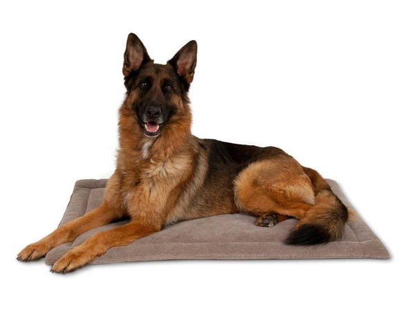 Petmate Kennel Dog Mat Grey 1ea/41.5 in X 26.5 in